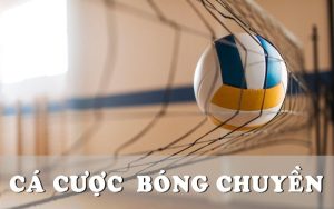 Cá Cược Bóng Chuyền: Kiến Thức Chi Tiết Cho Tân Binh OK9