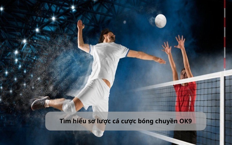 Cá Cược Bóng Chuyền: Kiến Thức Chi Tiết Cho Tân Binh OK9