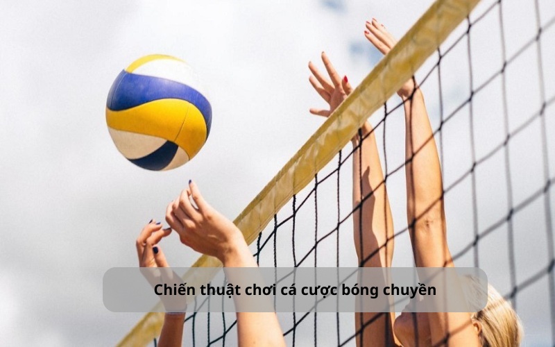 Cá Cược Bóng Chuyền: Kiến Thức Chi Tiết Cho Tân Binh OK9