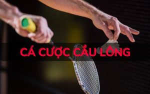 Cá Cược Cầu Lông: Dinh Phần Thưởng Lớn Cùng OK9