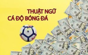 Thuật ngữ kèo bóng đá cho tân thủ tại nhà cái OK9