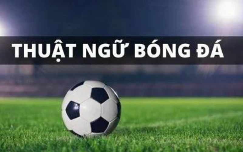 Thuật ngữ kèo bóng đá cho tân thủ tại nhà cái OK9